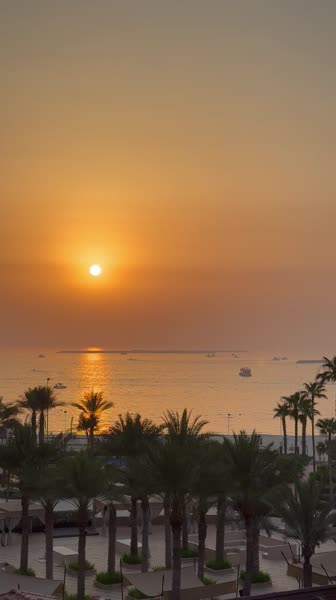 Hotel videos The Ritz-Carlton Dubai 5*