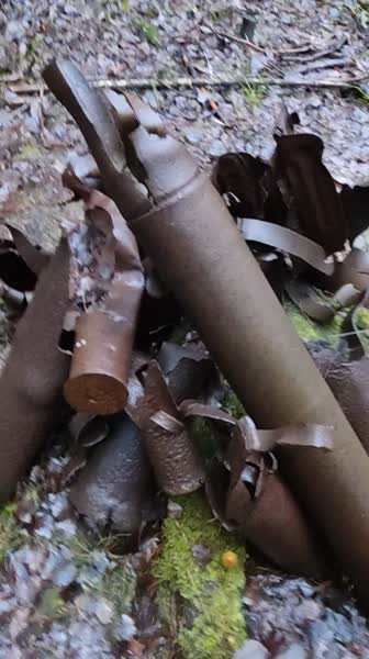 video 530195