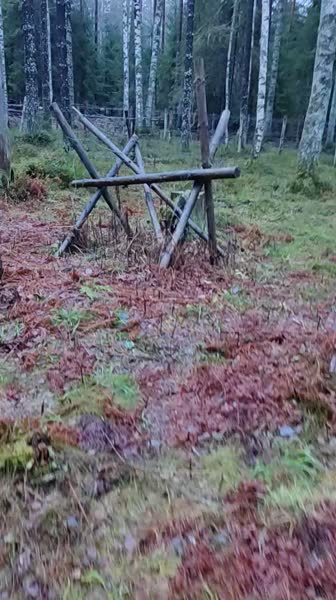 video 530199