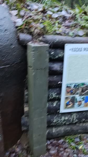 video 530202