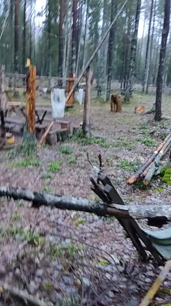 video 530203