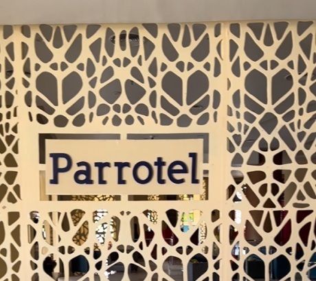 Наш корреспондент посетил отель Parrotel Beach Resort.