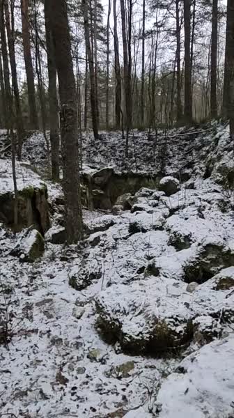 video 546275