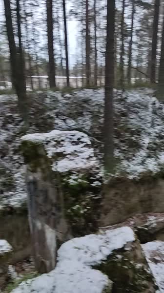 video 546276