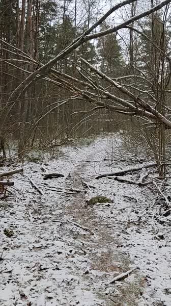 video 546282