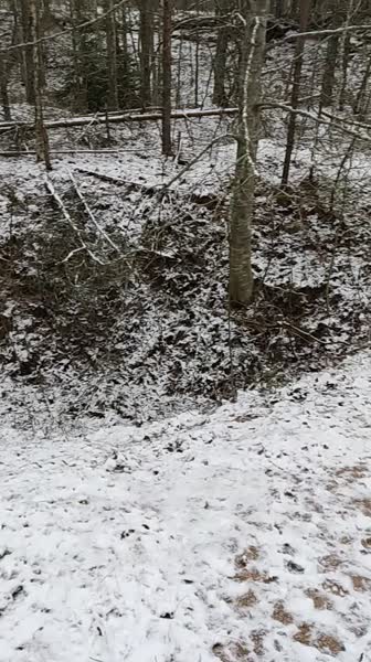video 546283
