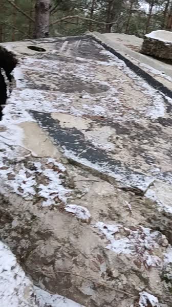 video 546289