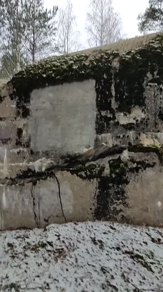 video 546291
