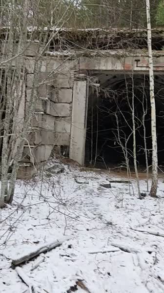 video 546292