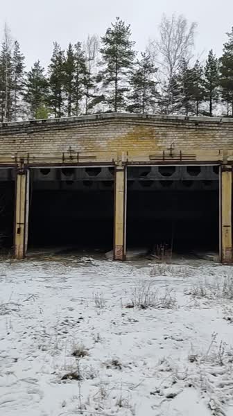 video 546293
