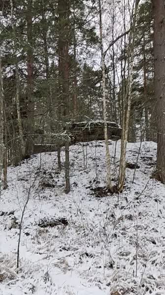 video 546296