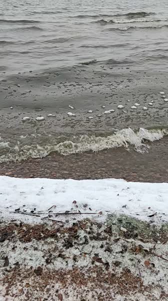 video 546302