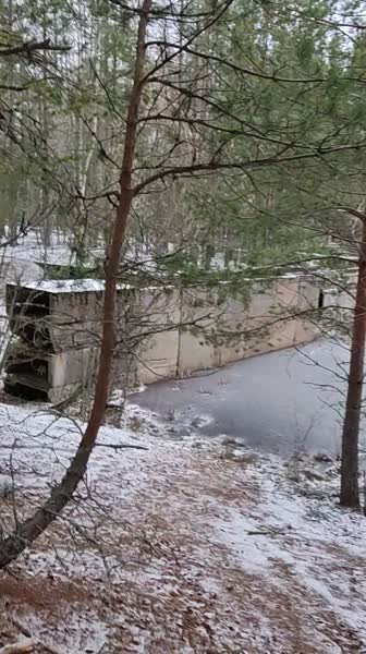 video 546311