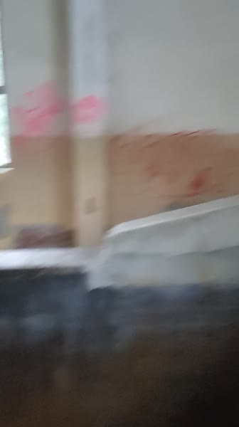 video 546312