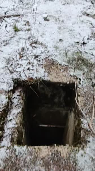video 547407