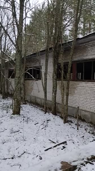 video 547408