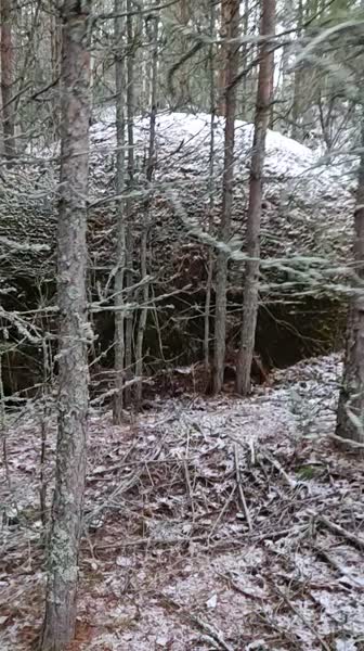 video 547411