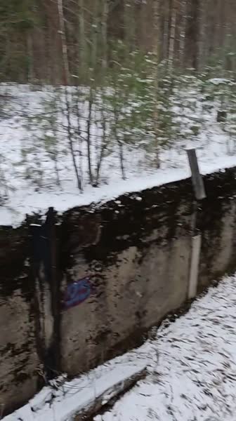 video 547412