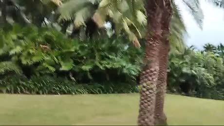 видео из отзыва ID 2661994