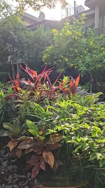 видео из отзыва ID 2662211