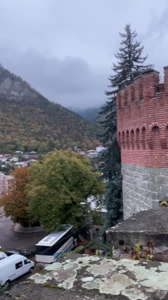 Hotel videos Borjomi Palace 4*