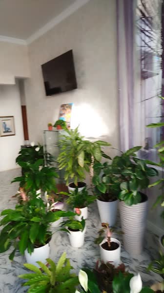 Hotel videos Лучезарный