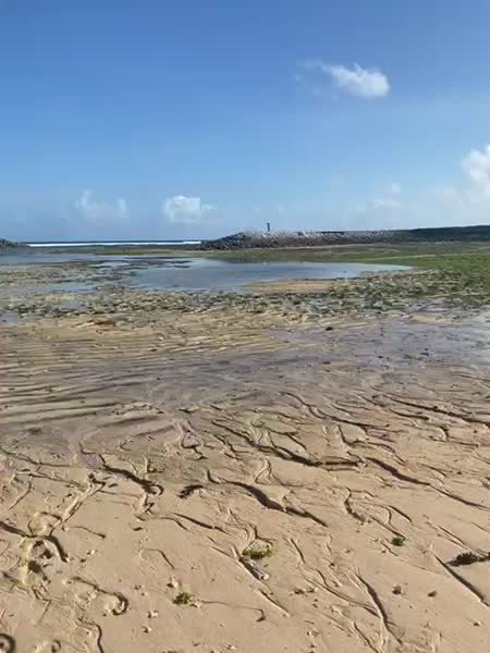 Видео из отеля The Apurva Kempinski Bali 5*