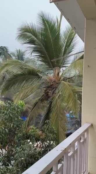 Видео из отеля Jas Holidays Morjim 3*