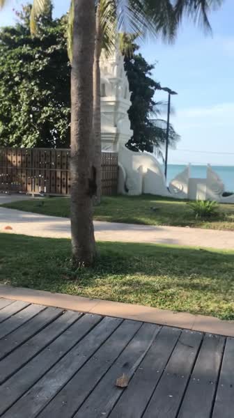 видео из отзыва ID 2669900