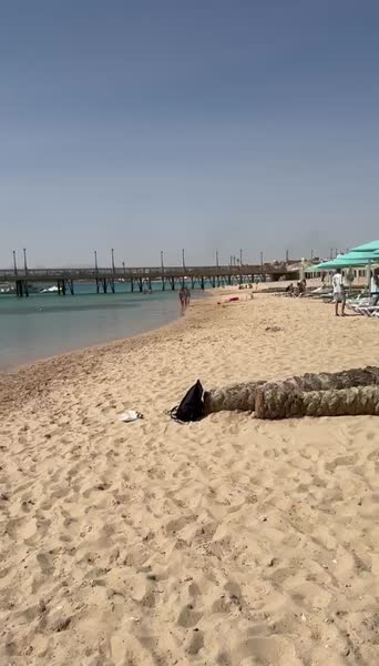 видео из отзыва ID 2674959