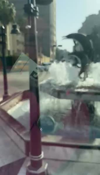 видео из отзыва ID 2674959