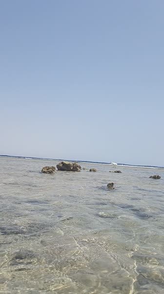 видео из отзыва ID 2677245