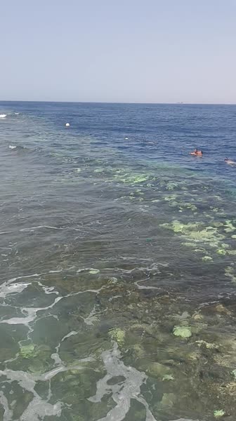 Видео из отеля Parrotel Beach Resort 5*