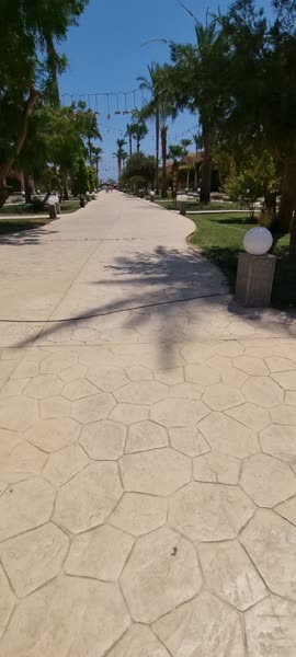 видео из отзыва ID 2677556