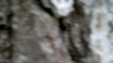 видео из отзыва ID 1918966