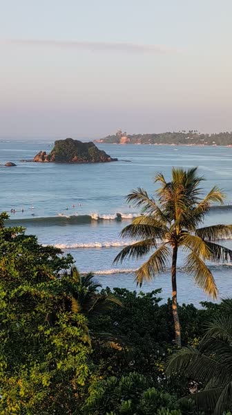Видео из отеля Weligama Bay Marriott Resort & Spa 5*