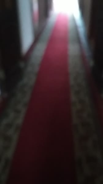 Видео из отеля