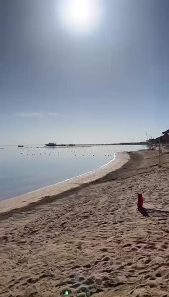 Видео из отеля Jaz Makadi Saraya Resort 5*