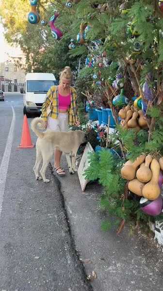 видео из отзыва ID 2682349