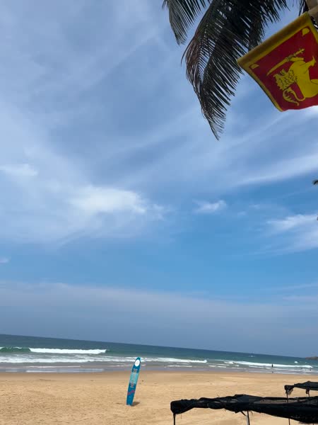 Видео из отеля Hansa Surf Hotel 2*