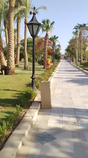 видео из отзыва ID 2683094