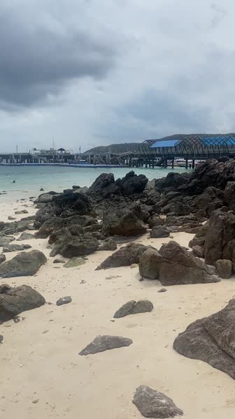 видео из отзыва ID 2683710