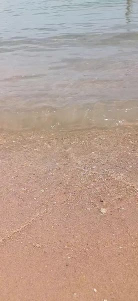 видео из отзыва ID 2684062