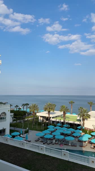 видео из отзыва ID 2684132