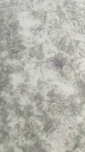 видео из отзыва ID 2685217