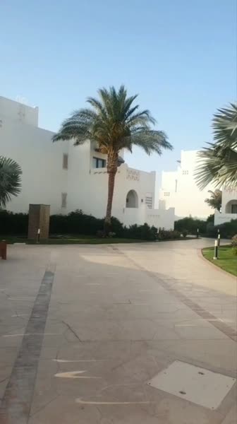 видео из отзыва ID 2685224