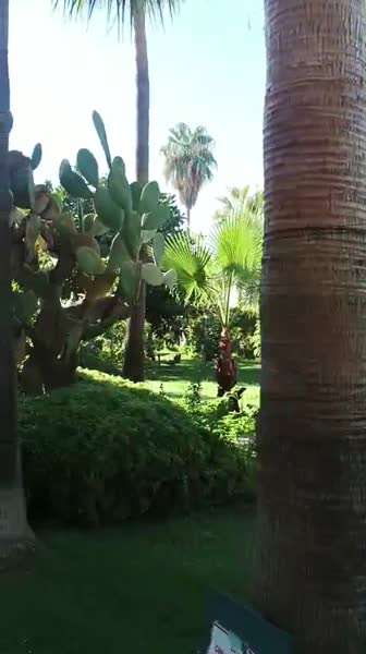 видео из отзыва ID 2685747