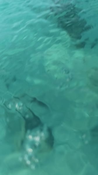 Видео из отеля