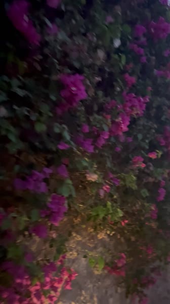 видео из отзыва ID 2686146