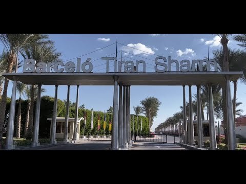 Barcelo Tiran Sharm Презентация 2024